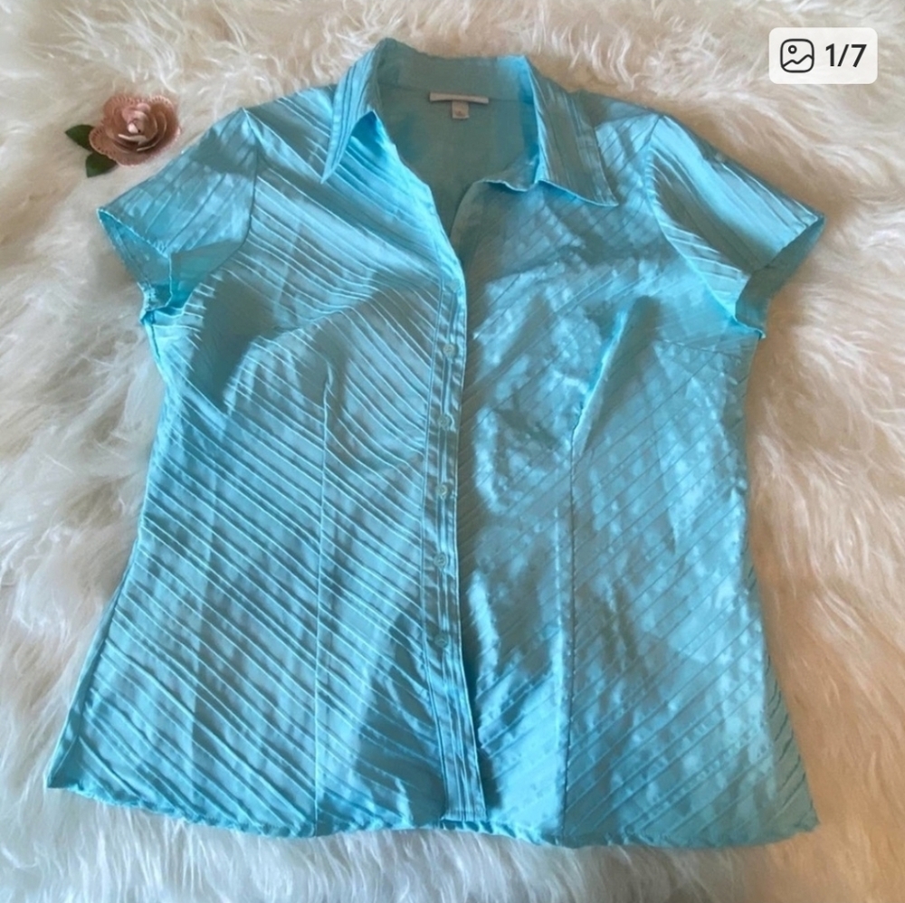 Dressbarn Blue Textured Button Down Blouse Size L